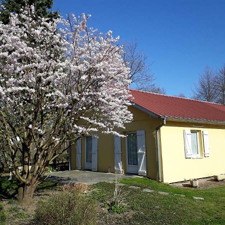 Maison De Manon Illhaeusern Esterno foto