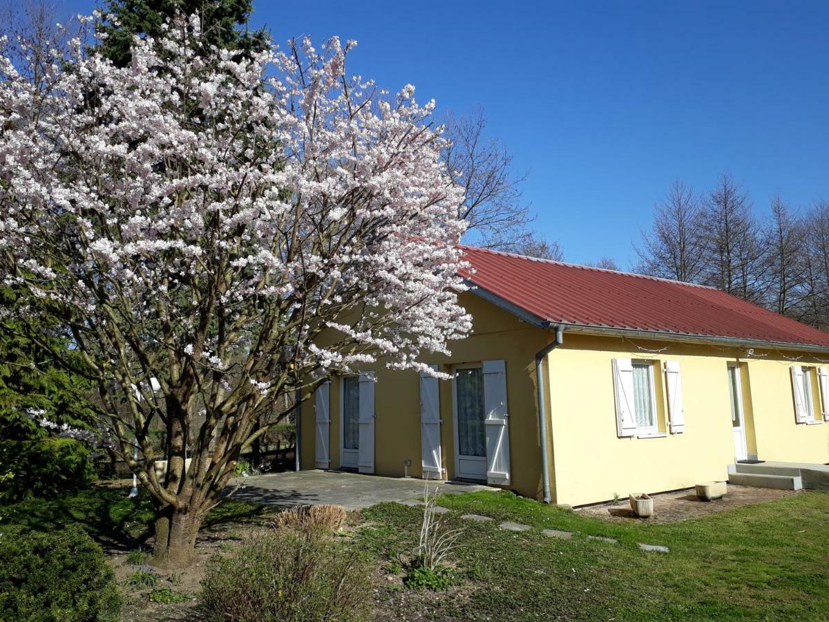 Maison De Manon Illhaeusern Esterno foto